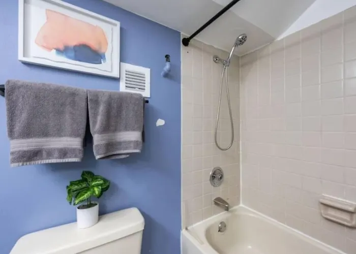 Spacious Downtown Penthouse Vintage, Gym & Balcony #3 Chicago